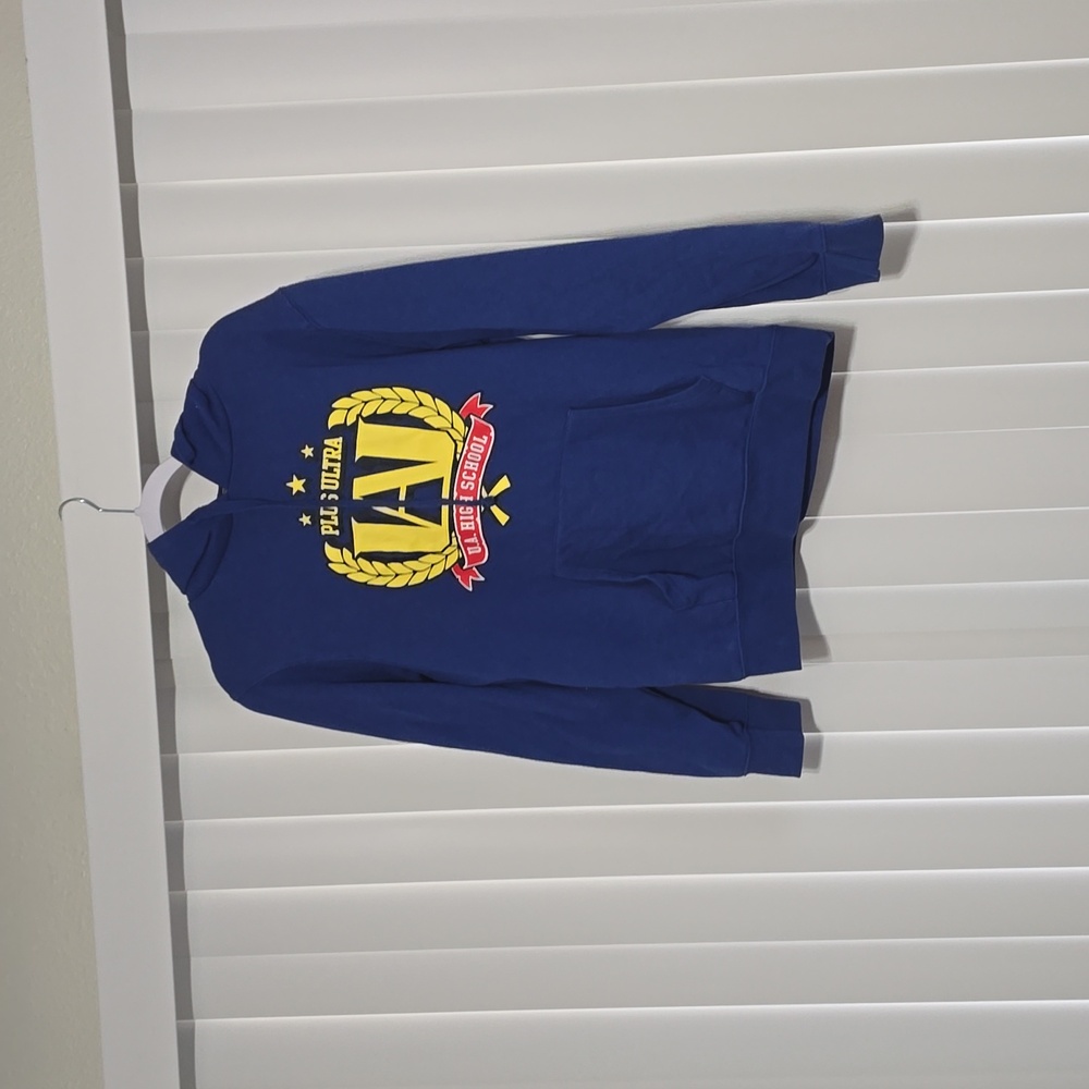 Plus Ultra MHA Hoodie